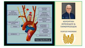 Λαρυγγικά Νεύρα – Οπτική Αναγνώριση Και Διατήρηση Φωνητικής Λειτουργίας Στις Επεμβάσεις Θυρεοειδούς Και Παραθυρεοειδών