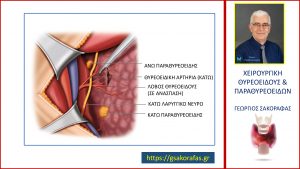 Θυρεοειδεκτομή Και Παραθυρεοειδείς