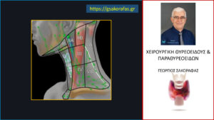 Τα ανατομικά διαμερίσματα του τραχήλου (για την ταξινόμηση των λεμφαδένων)